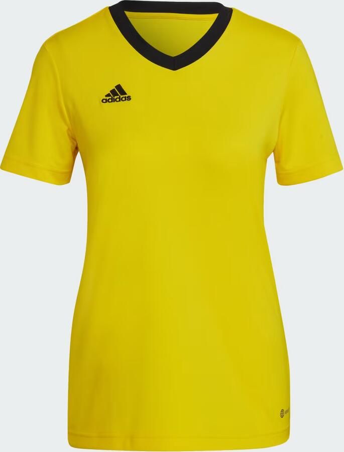 Adidas T-shirt Korte Mouw T-shirt Entrada 22 Jaune