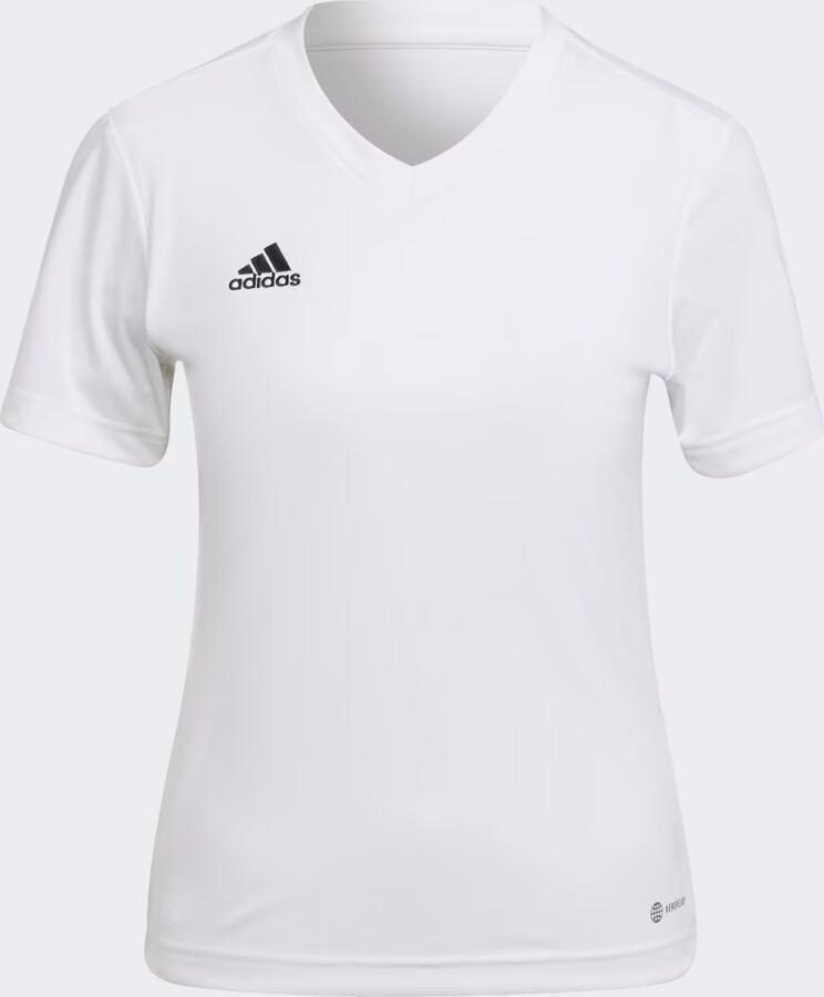 Adidas T-shirt Korte Mouw T-shirt Entrada 22 blanc femme - Foto 3