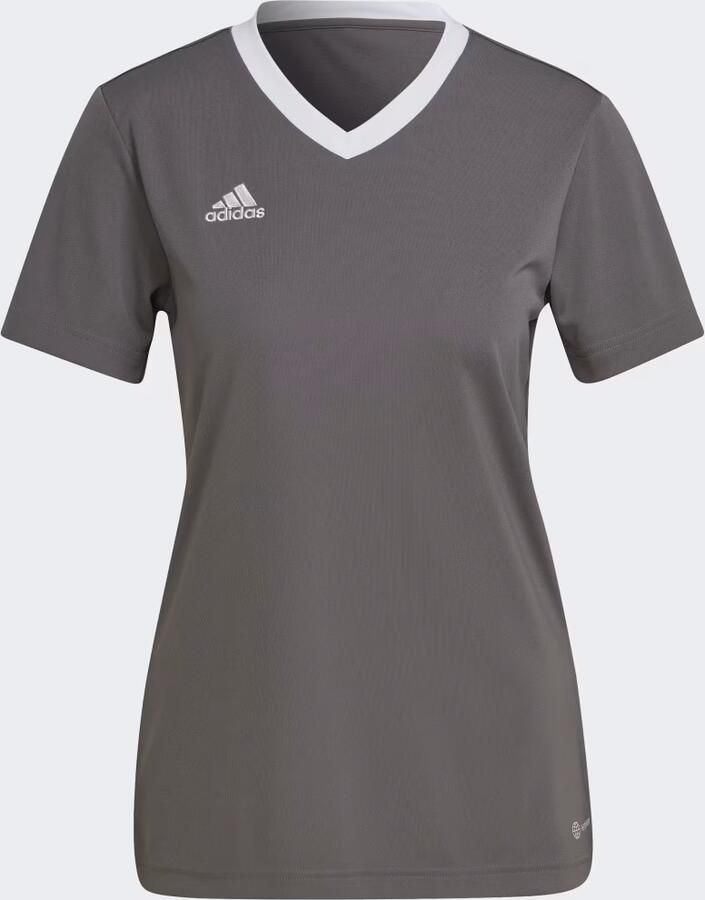 Adidas T-shirt Korte Mouw T-shirt Entrada 22 pour femme - Foto 2