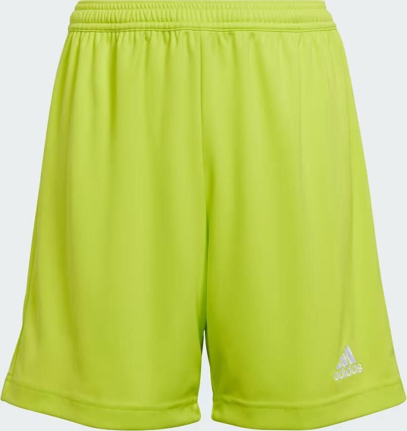 Adidas Entrada 22 Short