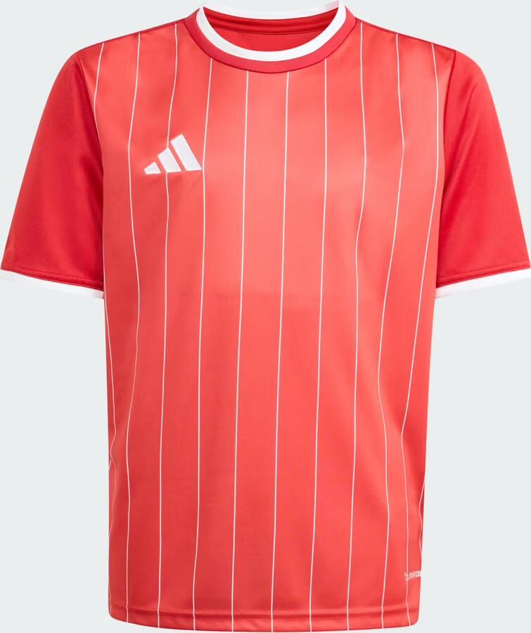Adidas Entrada 26 Graphic Shirt Kids