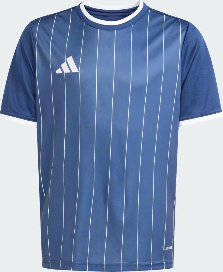 Adidas Entrada 26 Graphic Shirt Kids