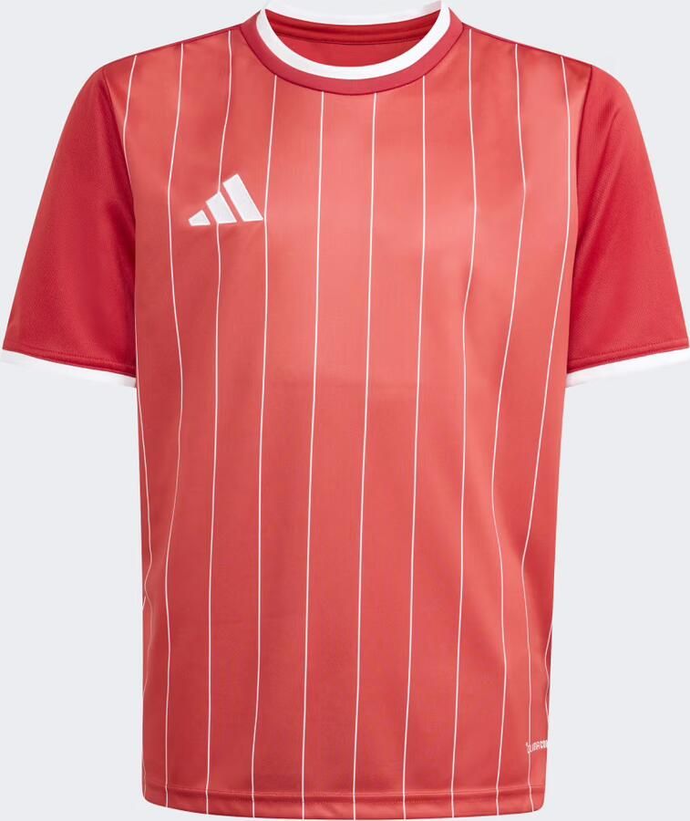 Adidas Entrada 26 Graphic Shirt Kids - Foto 4