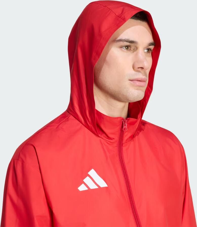 Adidas Entrada 26 Multi Jack - Foto 3