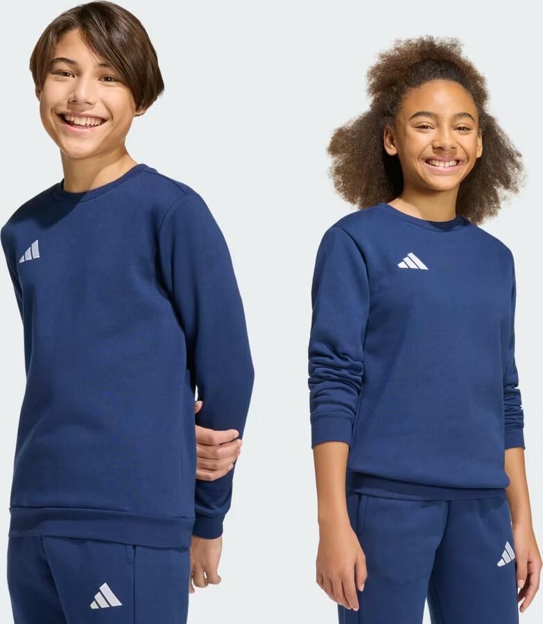 Adidas Entrada 26 Sweatshirt Kids