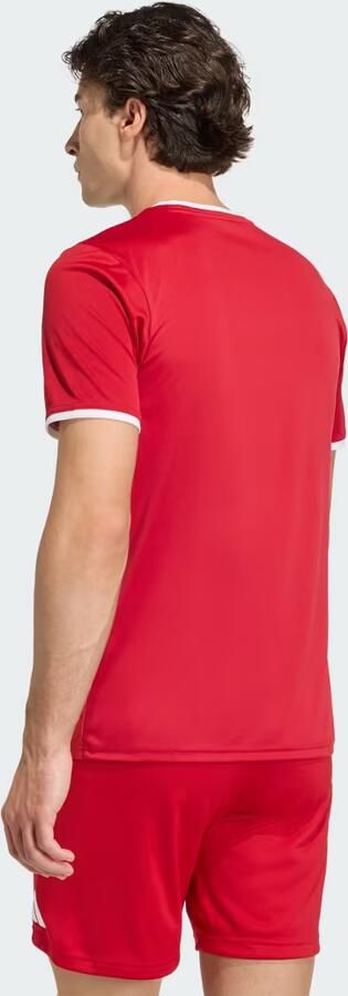 Adidas Entrada26 Graphic Jersey - Foto 5