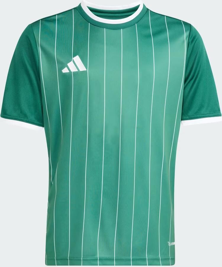 Adidas Entrada26 Graphic Jersey Kids