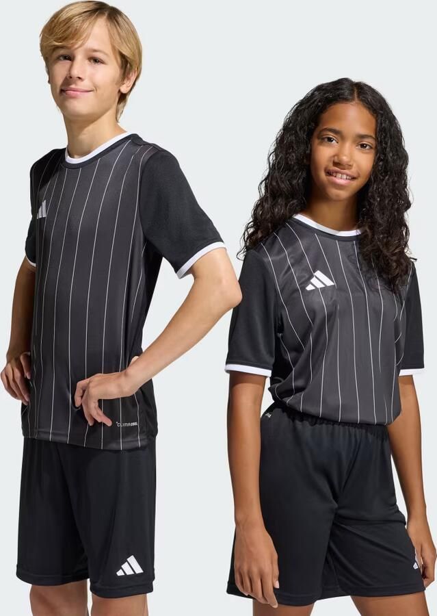 Adidas Entrada26 Graphic Voetbalshirt Kids