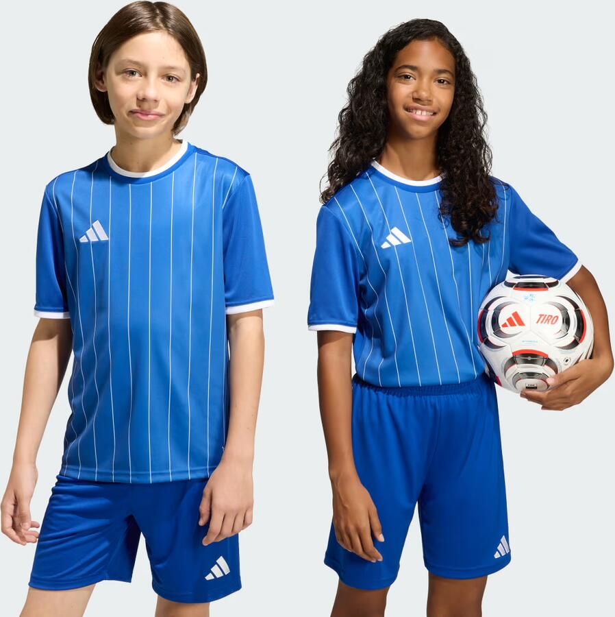 Adidas Entrada26 Graphic Voetbalshirt Kids