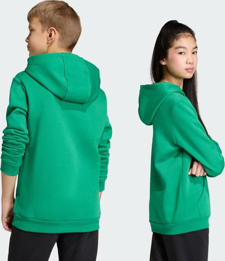 Adidas Entrada 26 Hoodie Junior - Foto 2
