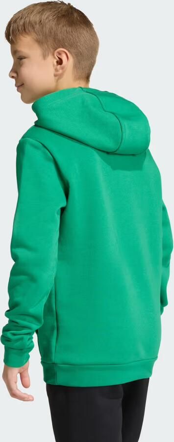 Adidas Entrada 26 Hoodie Junior - Foto 6