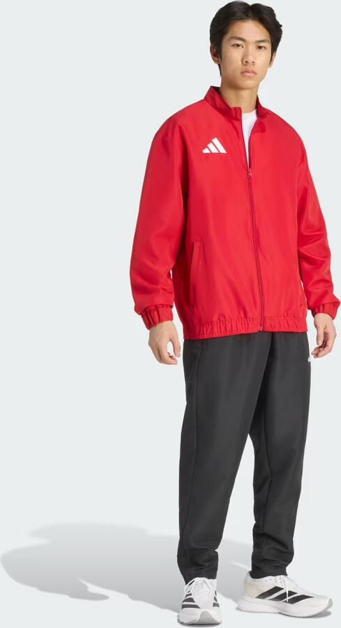Adidas Entrada26 Presentation Jack - Foto 6