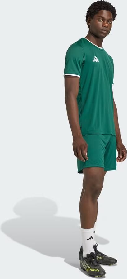 Adidas Entrada 26 Short Heren - Foto 7