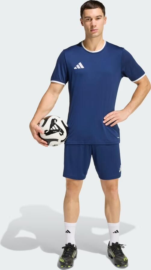 Adidas Korte Broek SPODENKI JZ2513ENTRADA26GRANAT - Foto 5