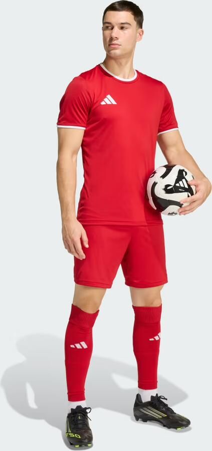Adidas Entrada 26 Short Heren - Foto 7