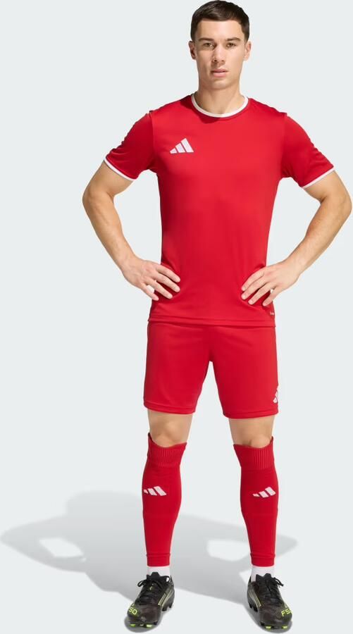 Adidas Entrada 26 Short Heren - Foto 6