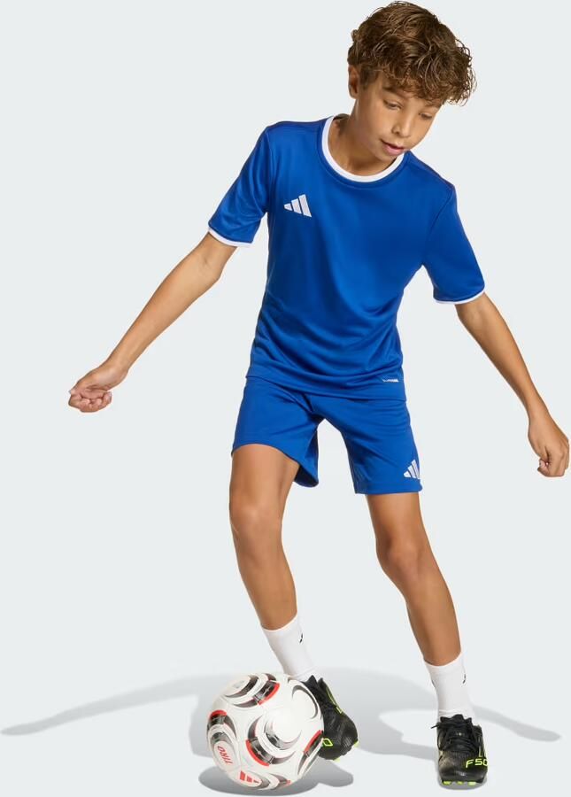 Adidas Entrada26 Short Kids - Foto 3