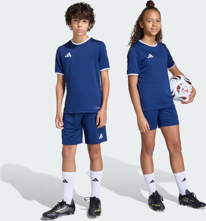 Adidas Korte Broek SPODENKI JZ6532ENTRADA26GRANAT