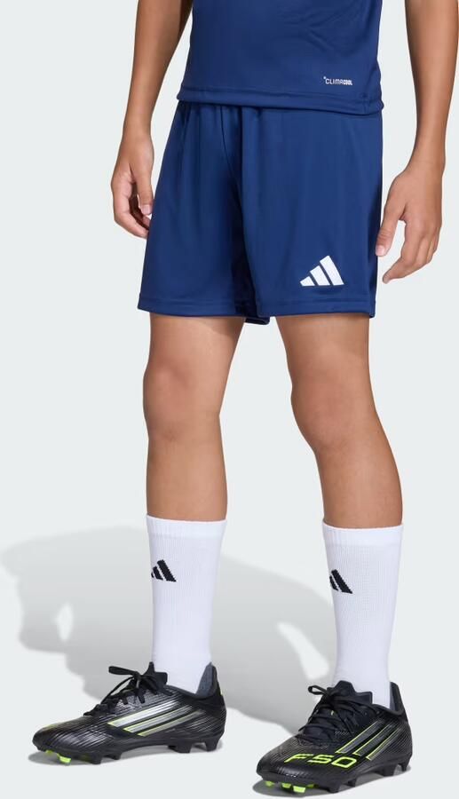 Adidas Korte Broek SPODENKI JZ6532ENTRADA26GRANAT - Foto 5