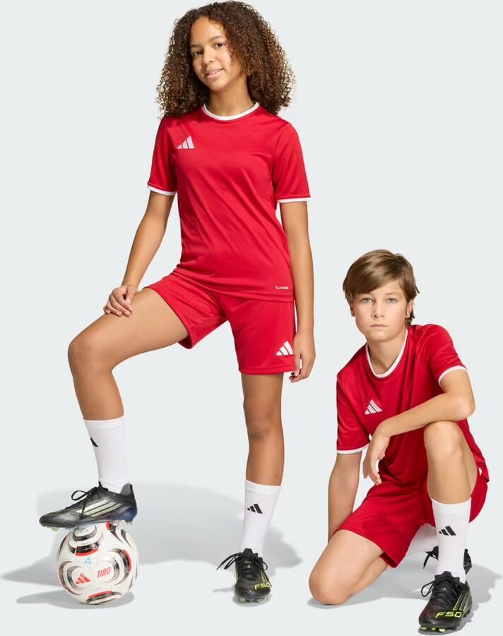 Adidas Entrada 26 Short Junior - Foto 2
