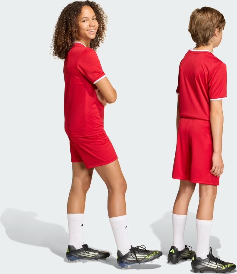 Adidas Entrada 26 Short Junior - Foto 3