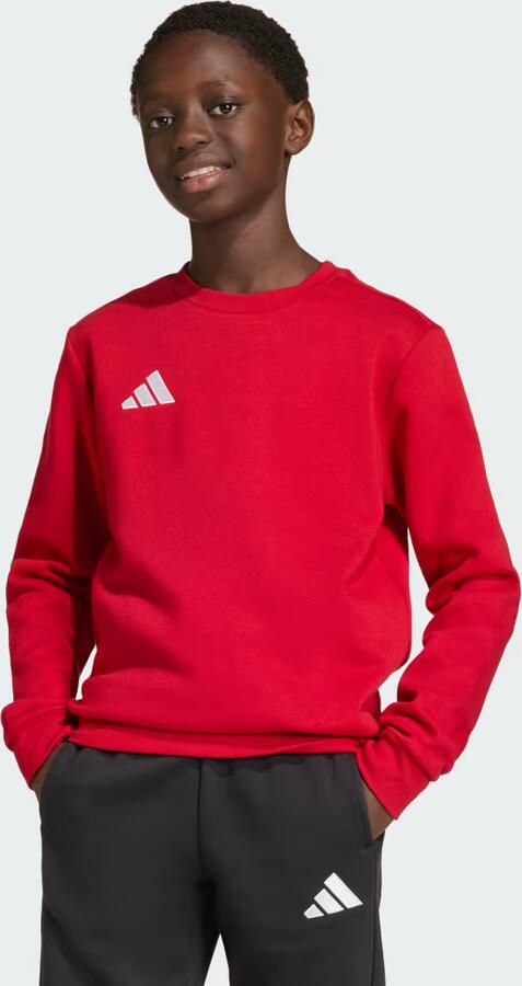Adidas Entrada26 Sweatshirt Kids - Foto 5