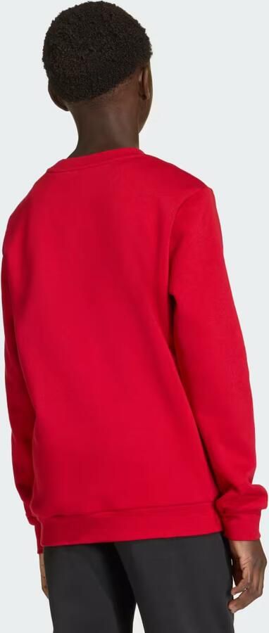 Adidas Entrada26 Sweatshirt Kids - Foto 7