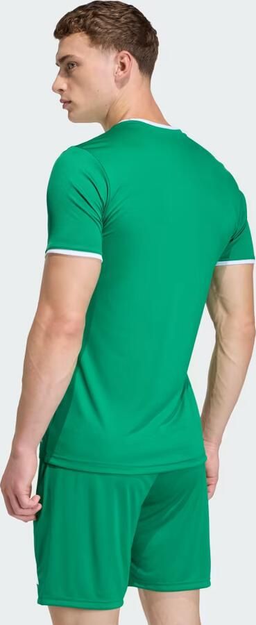 Adidas T-shirt Korte Mouw T-shirt Entrada 26 vert - Foto 5
