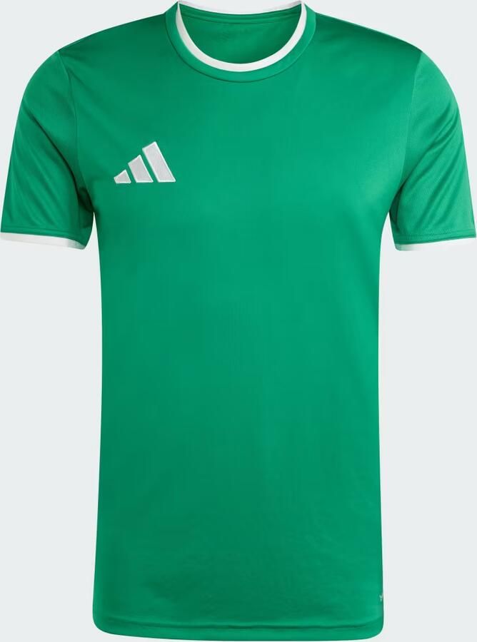 Adidas T-shirt Korte Mouw T-shirt Entrada 26 vert - Foto 2