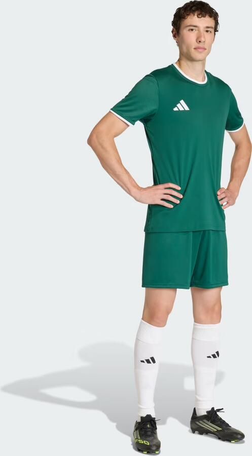 Adidas Entrada26 Voetbalshirt - Foto 3