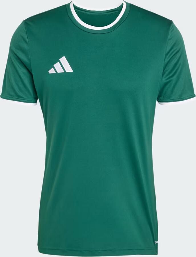 Adidas Entrada26 Voetbalshirt - Foto 2