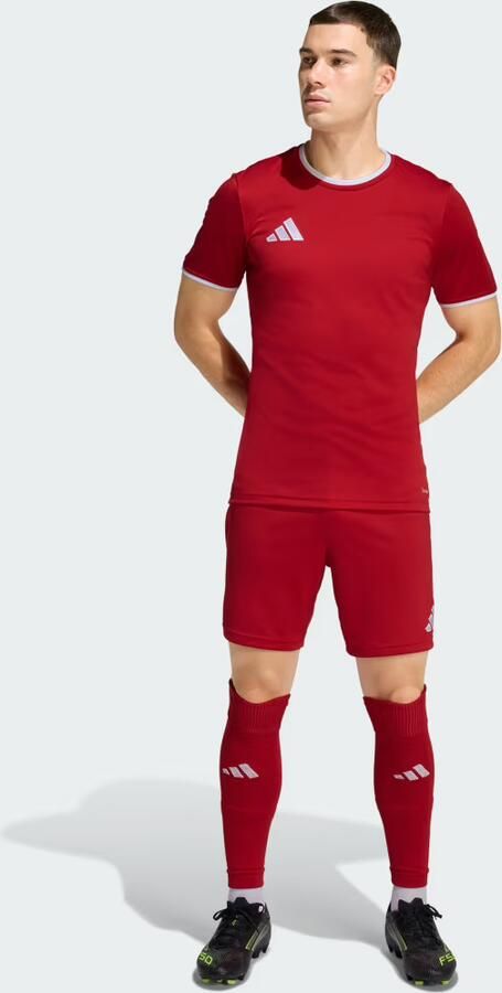 Adidas Entrada26 Voetbalshirt - Foto 6