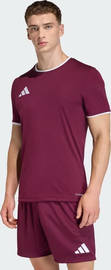 Adidas Entrada26 Voetbalshirt - Foto 2