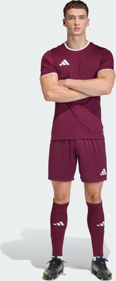 Adidas Entrada26 Voetbalshirt - Foto 6