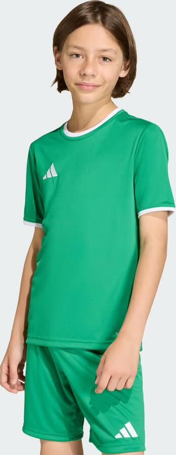 Adidas Entrada26 Voetbalshirt Kids