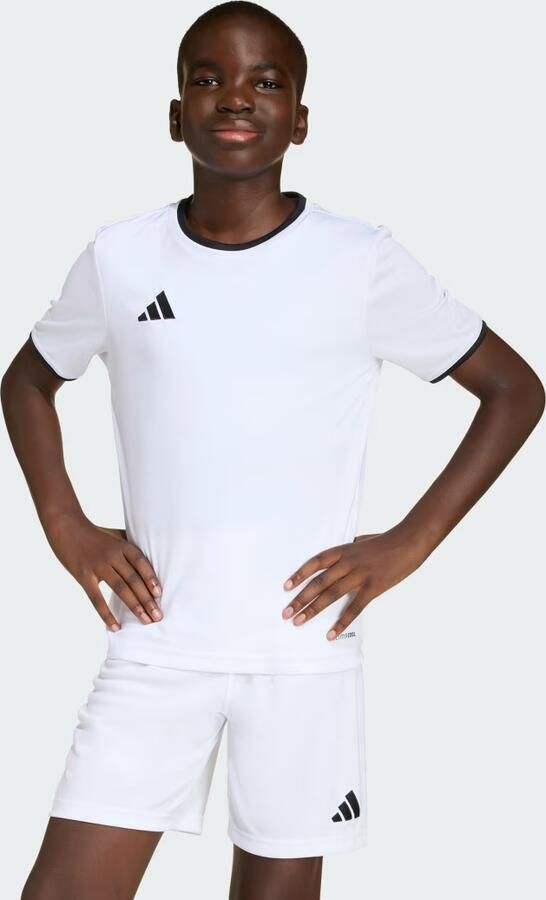 Adidas T-shirt Korte Mouw Ent26 Jsy Y - Foto 4