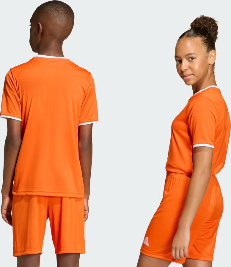 Adidas Perfor ce voetbalshirt Entrada26 oranje Sport t-shirt Polyester Ronde hals - Foto 2