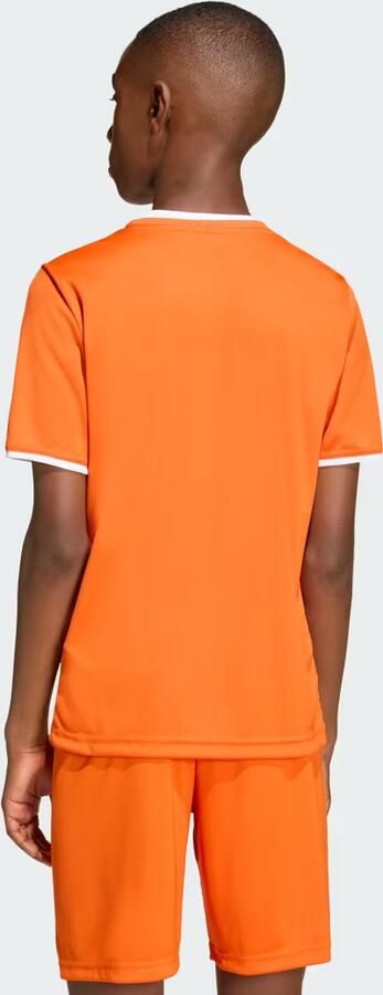 Adidas Perfor ce voetbalshirt Entrada26 oranje Sport t-shirt Polyester Ronde hals - Foto 5