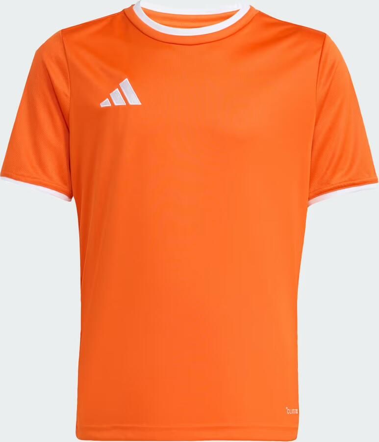 Adidas Perfor ce voetbalshirt Entrada26 oranje Sport t-shirt Polyester Ronde hals - Foto 3