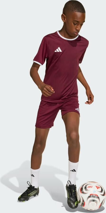 Adidas Entrada26 Voetbalshirt Kids - Foto 4