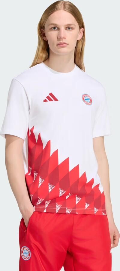 Adidas FC Bayern München Anthem Graphic T-shirt
