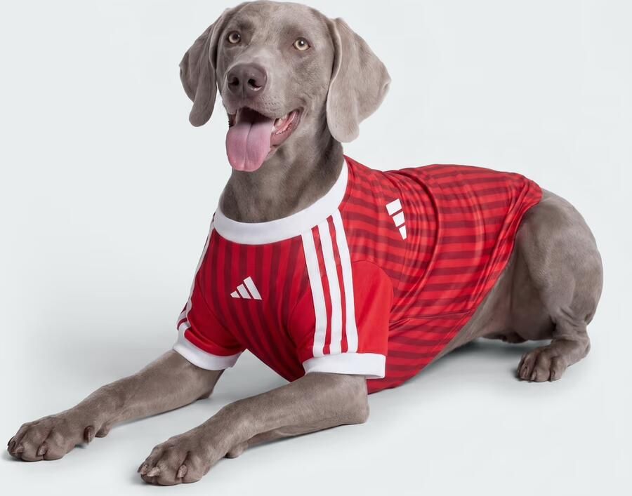 Adidas FC Bayern München Shirt voor Huisdieren - Foto 5