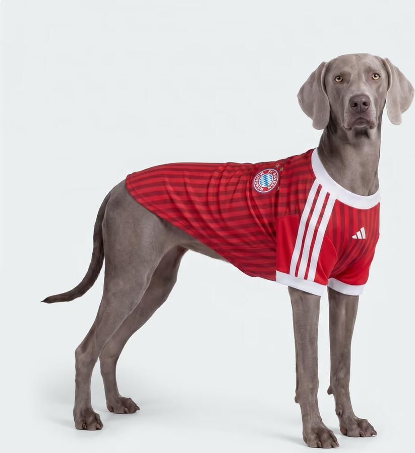 Adidas FC Bayern München Shirt voor Huisdieren - Foto 3