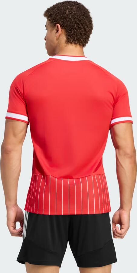 Adidas FC Koeln Trefoil Voetbalshirt - Foto 6