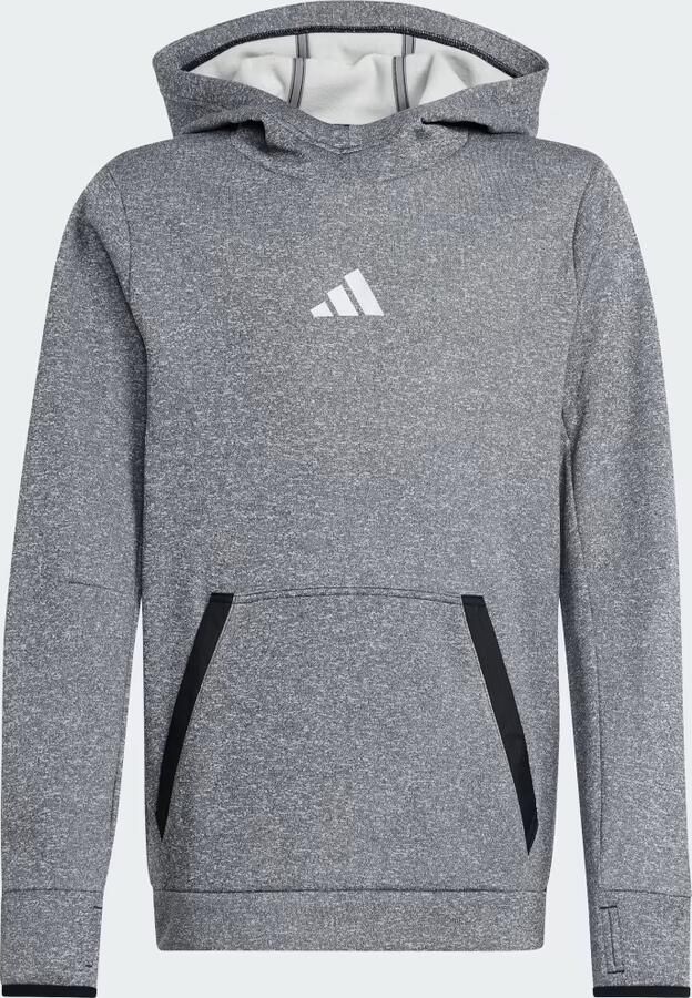 Adidas Capuchon sweaters IV9493