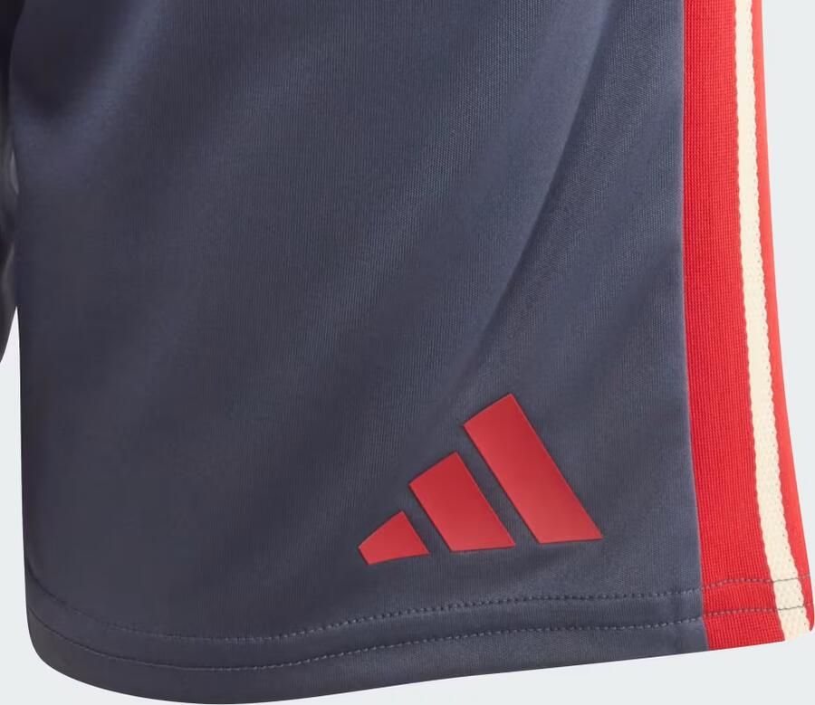Adidas Frankrijk Rugby Gym Short Kids - Foto 3