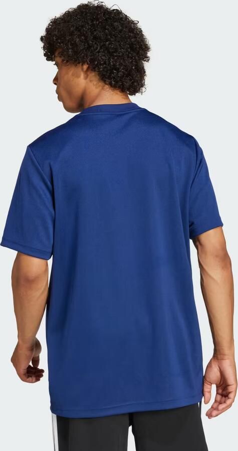 Adidas T-shirt Korte Mouw T-shirt supporter XV de France 2024 25 - Foto 5