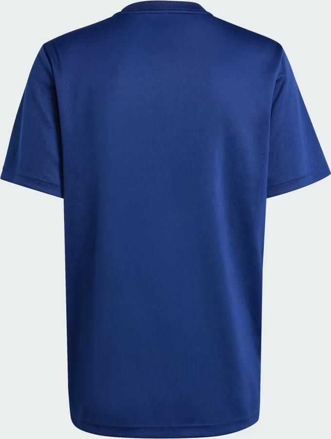 Adidas T-shirt Korte Mouw T-shirt supporter XV de France 2024 25 - Foto 4