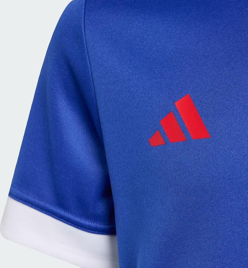 Adidas Frankrijk Rugby Thuis Supporters-T-shirt Kids - Foto 4