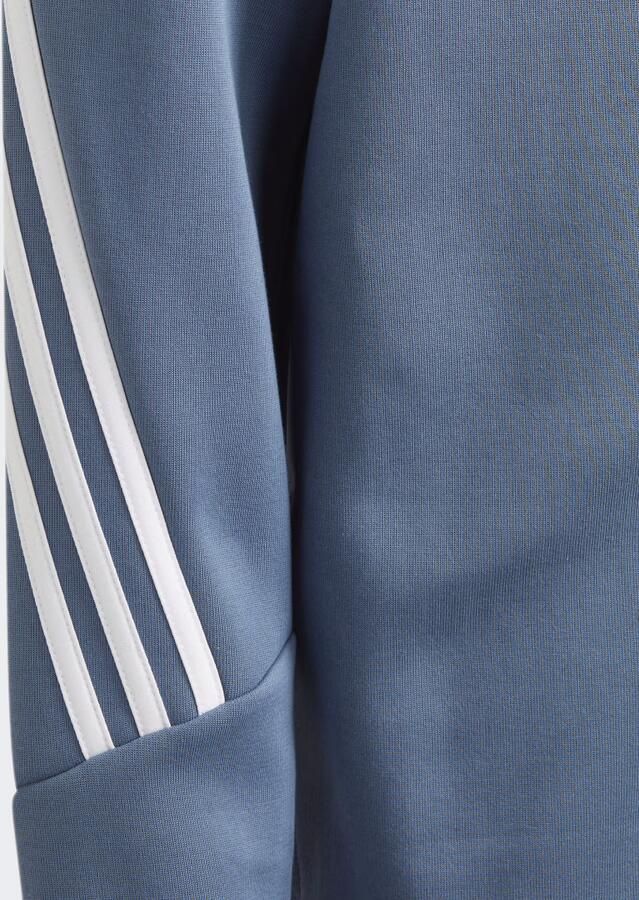 Adidas Sportswear Future Icons 3-Stripes Ritshoodie